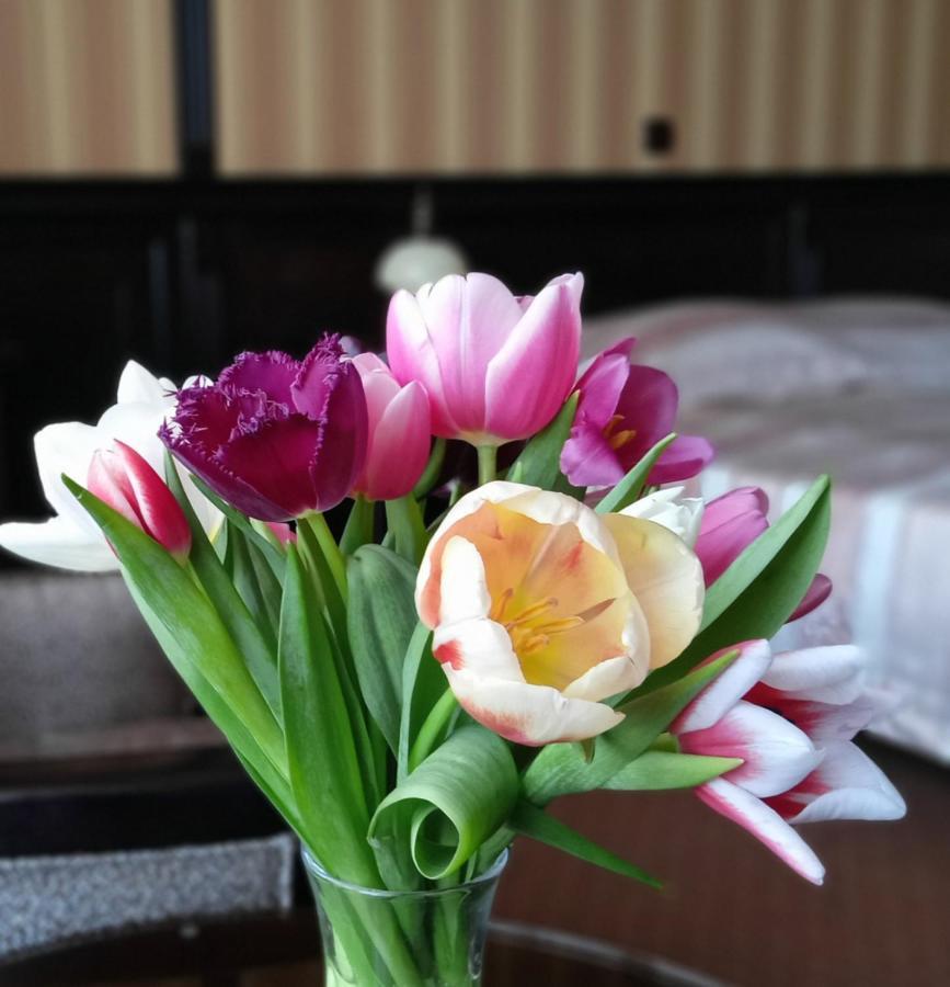 Attache Hotel Kiev Eksteriør bilde